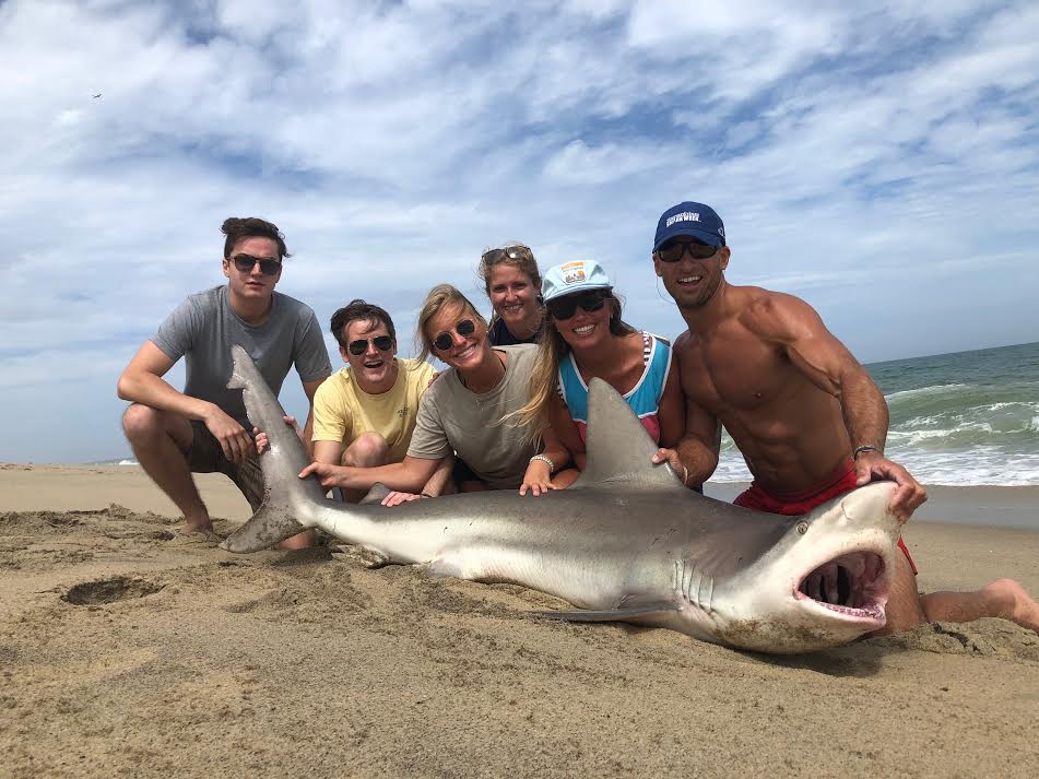 Interview with Coco Clemens - ACK Sharks