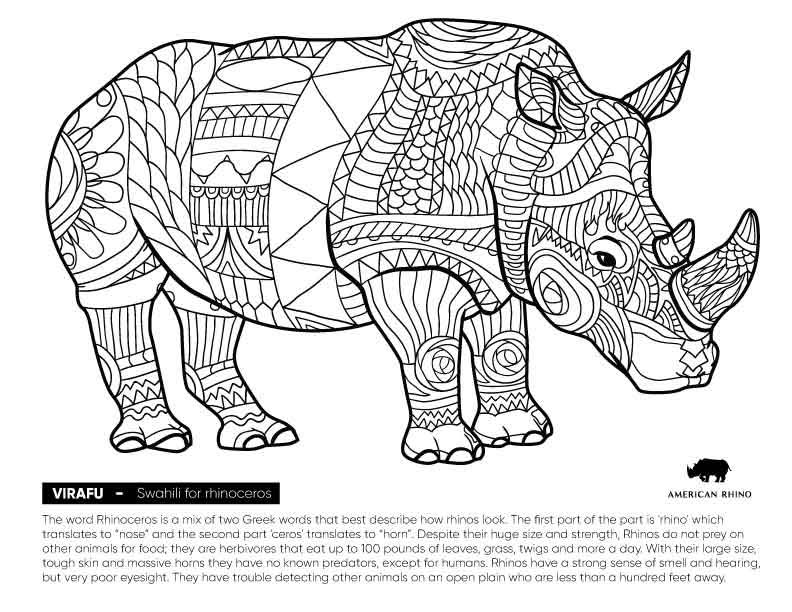 Wildlife Coloring Book